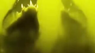 jara jara funny video United States America 22
