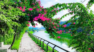 Romna park