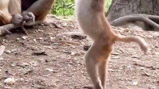 Dance.. 3