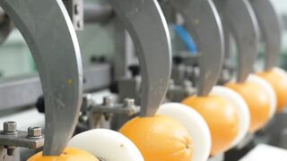 The Most Satisfying Orange Peeling Machine Ever Built