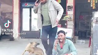 FUNNY VERY FUNNY