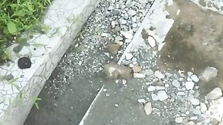 Summer Issues 18