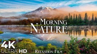 The beauty of sleeping nature 🛌