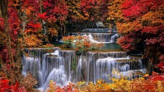 The beauty of nature 🌿  Birds, rivers, waterfalls, & mountains  4K video