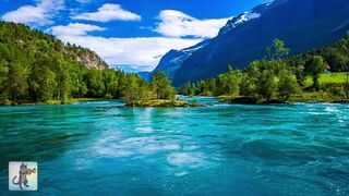 Contemplating the beauty of nature | Relaxing music and video | Calm video | Relaxing relaxation