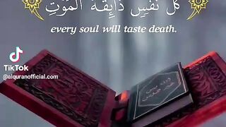 Beautiful reciting by abdulrahman musad