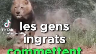 L'ingratitude