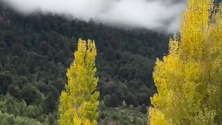 Misty Mountain Road 🍂 | Beautiful Autumn Scenery & Peaceful Nature Drive