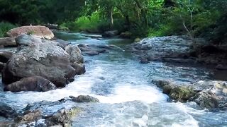 Relaxing River Sounds in Tropical Forest | Peaceful Nature Scenery for Stress Relief