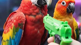 Neon room for parrots