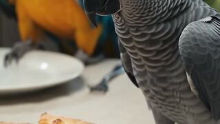 We are eating pizza