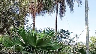 Praça da minha cidade