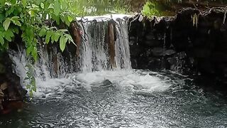 #/small river ⛲⛲⛲