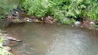 #/River City🏞️🏞️🏞️