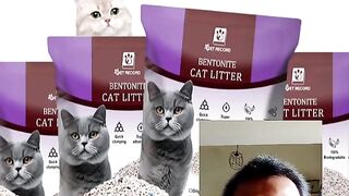 Cat food 5