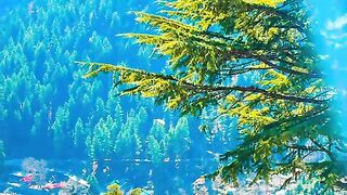 ناران کاغان کا خوبصورت علاقہ