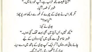 شوہر کی تھکن بھی سمجھیں،