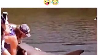 #Funny #video! #viralvideo #funny #hindi viral #United #States #America new | 65