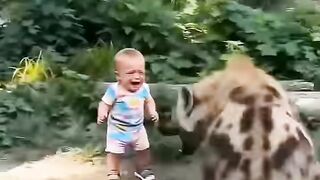 #Funny #video! #viralvideo #funny #hindi viral #United #States #America new | 68
