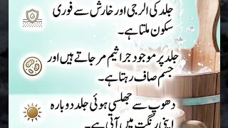 Dr Muhammad Zohaib