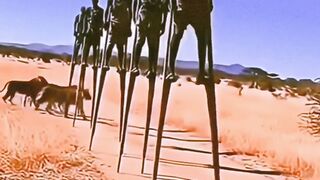 jara jara funny video United States America 26