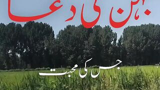 Importance of Sister