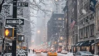 Life in New York