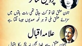 Shayari Vibes