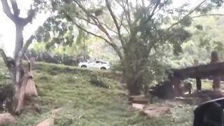 Bikin Gregetan Warganet! Pengunjung Taman Safari Bogor Nekat Buka Jendela di Zona Harimau Demi Konten!