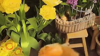 Cat🐱🐈🐈‍⬛