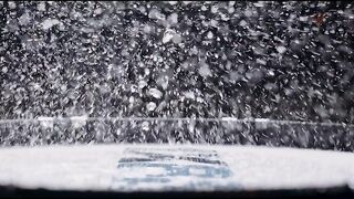 The Call of the Wild (2020) Unofficial Hindi Dubbed Full Movie Watch HD