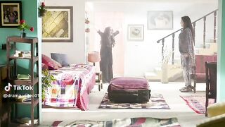 Pakistani drama Febspot video of the travel to Florida y
