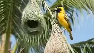 Amazing Architectural Wonders of Nature!