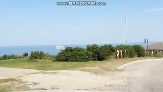 Dana Bay Wildlife: A Bushbuck With Ocean View Backdrop