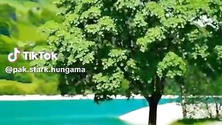 Best Scene viral TikTok video of