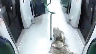 Would You Get Out of This?
