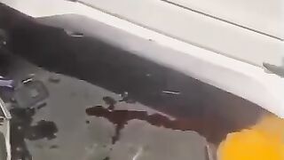 Seruaja