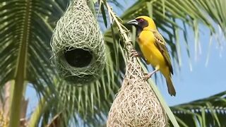 Amazing Architectural Wonders of Nature! 2