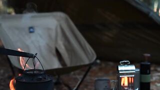 Cozy Forest Camping by the Campfire 🔥 | Peaceful Wilderness Ambience & Outdoor Cooking