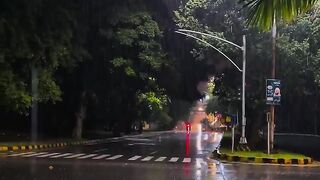 rain 3