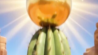 O Fruto Dourado do Deserto
