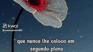Reflexão 27