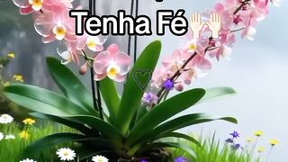 Video cristão 3