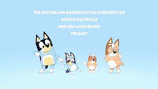 bluey 2