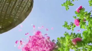 لوحة فنية للطبيعة الخلابة