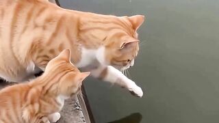 あらゆる追いかけっこを繰り広げる! 「トムとジェリー 3