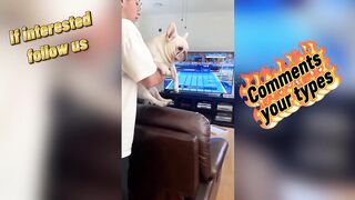 ⚡ The Ultimate Doggy Jump Attack! One Leap, One Surprise! 🔥