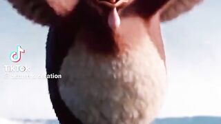 Chicken and babies lovely story