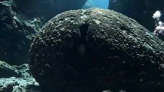That Was NOT a Rock… Something Under the Ocean Just Woke Up 👁️