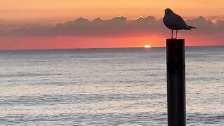 view sunset